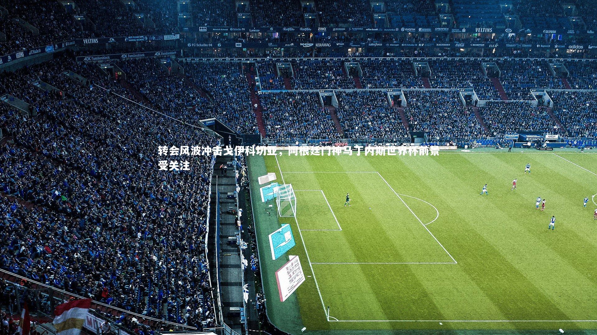 转会风波冲击戈伊科切亚，阿根廷门神马丁内斯世界杯前景受关注